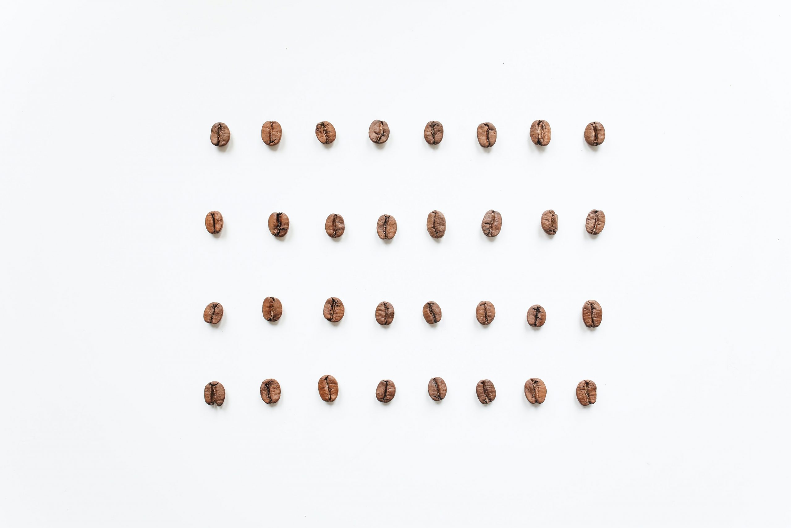 咖啡豆的種類